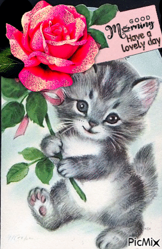 15+ Good Morning Gifs To Celebrate A Beautiful New Morning - picture 10