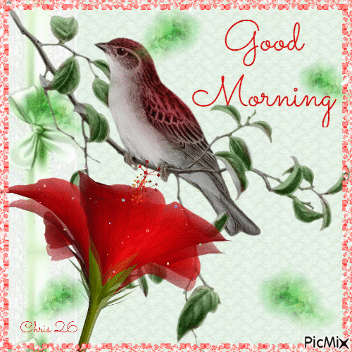 15+ Good Morning Gifs To Celebrate A Beautiful New Morning - picture 11