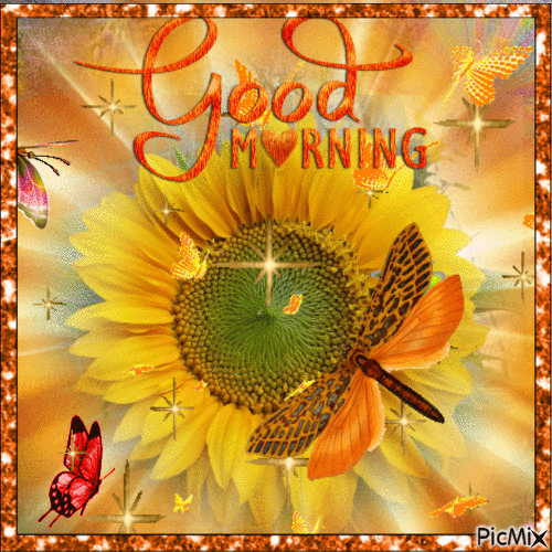 15+ Good Morning Gifs To Celebrate A Beautiful New Morning - picture 12
