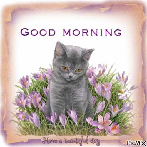 15+ Good Morning Gifs To Celebrate A Beautiful New Morning - picture 4