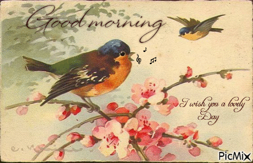 15+ Good Morning Gifs To Celebrate A Beautiful New Morning - picture 9