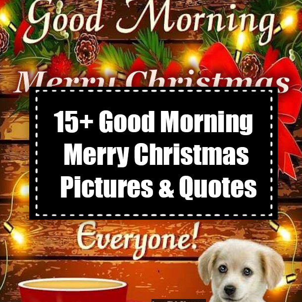 15+ Good Morning Merry Christmas Pictures & Quotes