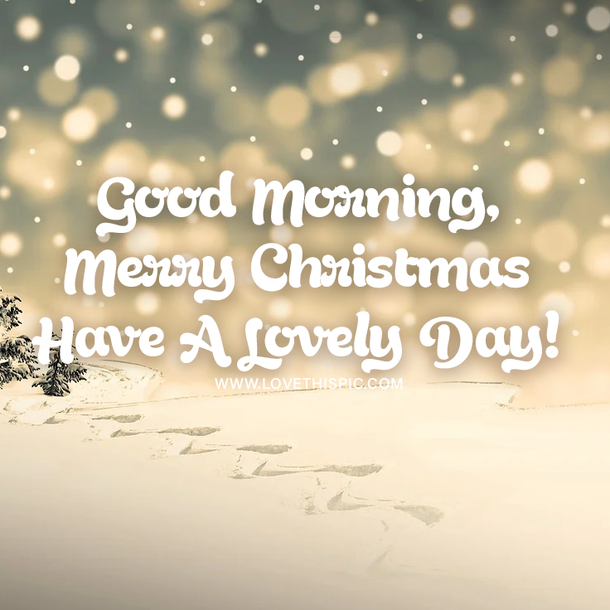 15+ Good Morning Merry Christmas Pictures & Quotes - picture 16