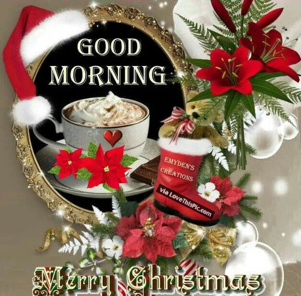 15+ Good Morning Merry Christmas Pictures & Quotes - picture 5