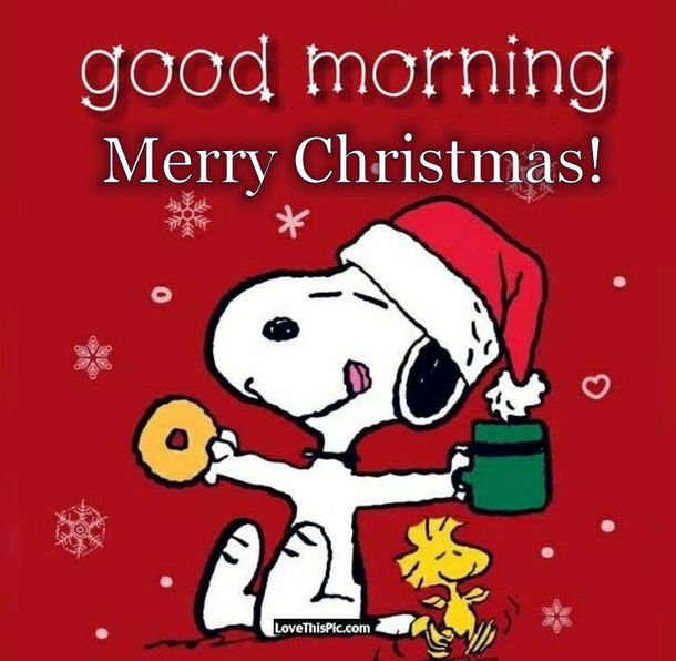 15+ Good Morning Merry Christmas Pictures & Quotes - picture 8