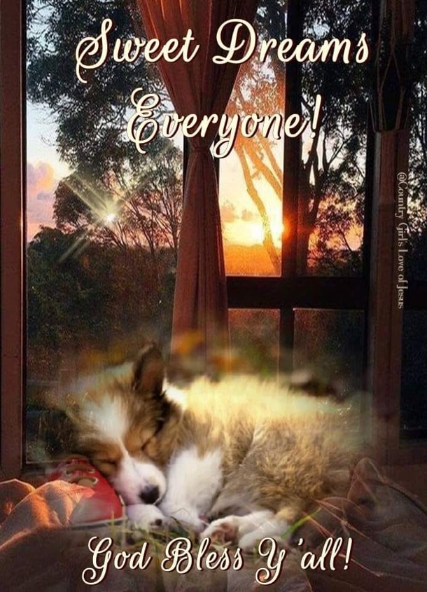 15+ Good Night Beautiful Messages You Will Love And Appreciate - picture 14
