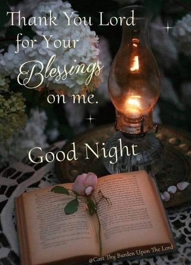 15+ Good Night Beautiful Messages You Will Love And Appreciate - picture 2