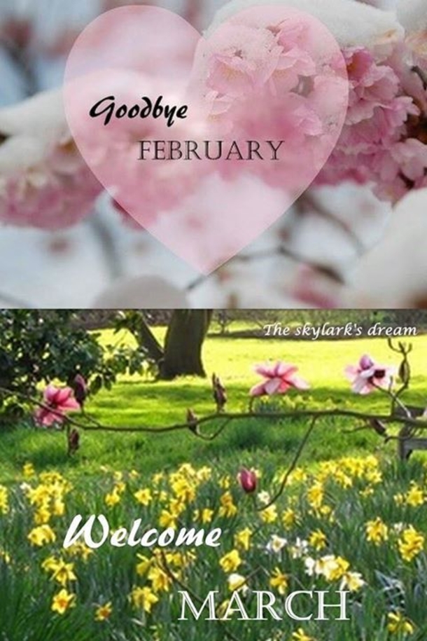 15 Goodbye February, Hello March Quotes - picture 3