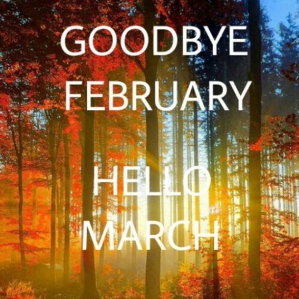 15 Goodbye February, Hello March Quotes - picture 8
