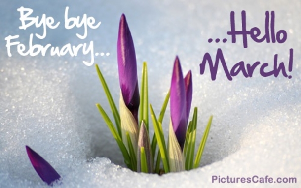 15 Goodbye February, Hello March Quotes - picture 9