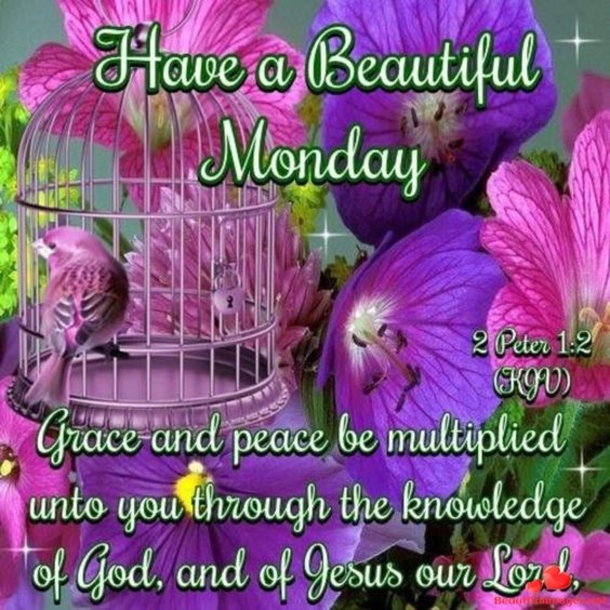 15 Happy Monday Blessing Quotes - picture 10