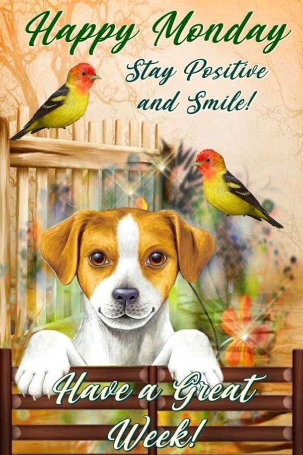 15 Happy Monday Blessing Quotes - picture 11