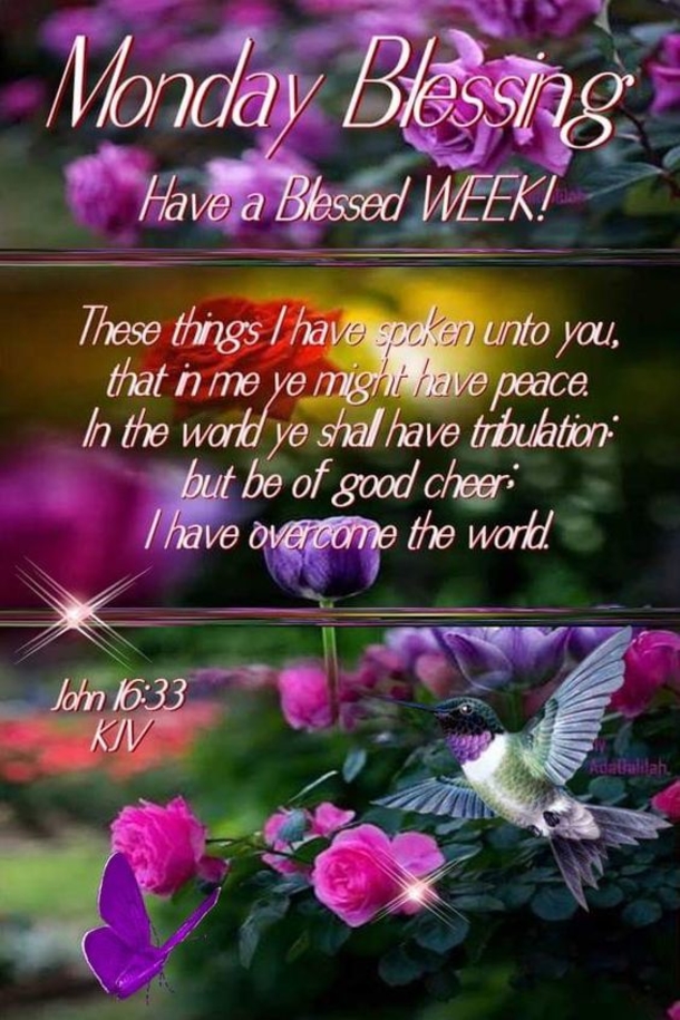 15 Happy Monday Blessing Quotes - picture 5