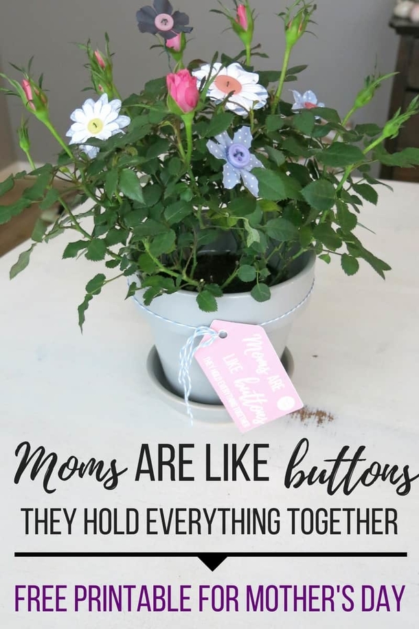 15 Heartwarming Mother's Day Gifts To Show Your Love In 2023 - picture 10