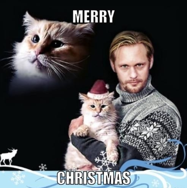 15 Hilarious Christmas Memes To Share With Family & Friends - picture 16