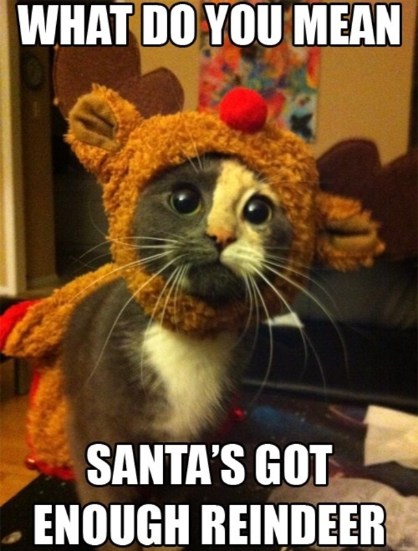 15 Hilarious Christmas Memes To Share With Family & Friends - picture 8