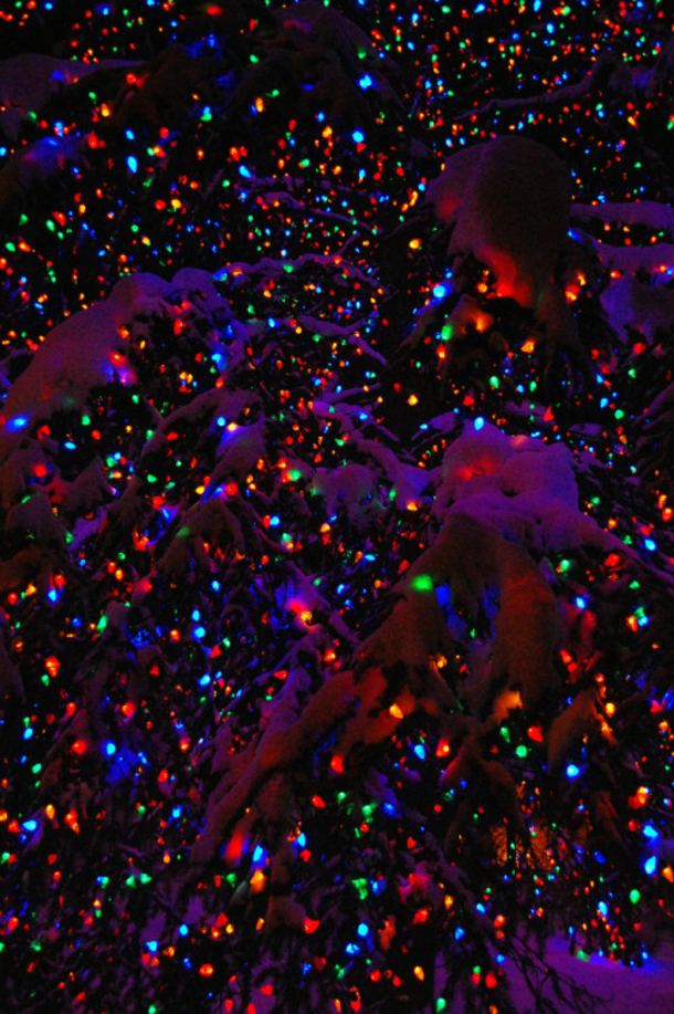 15 Holiday Pictures To Get You Ready For Christmas - picture 16