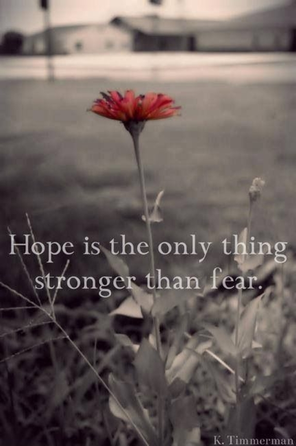 15+ Inspirational Quotes About Hope - picture 10