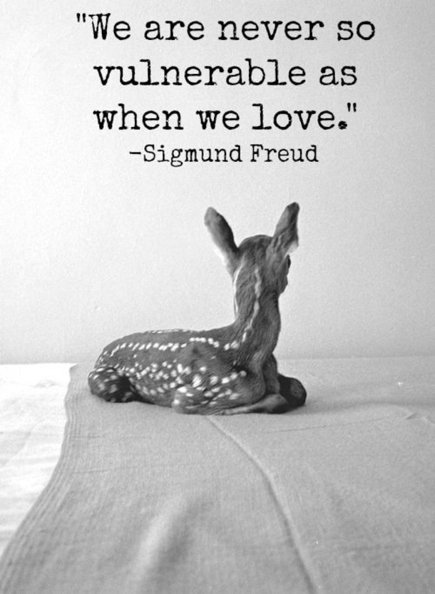 15 Love Quotes To Inspire And Warm Your Heart - picture 10