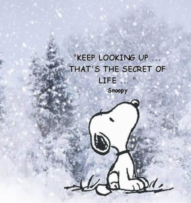 15 Meaningful Life Quotes To Live By - picture 10