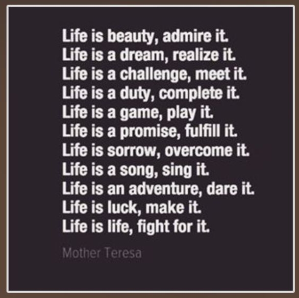 15 Meaningful Life Quotes To Live By - picture 14