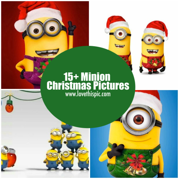 15+ Minion Christmas Pictures