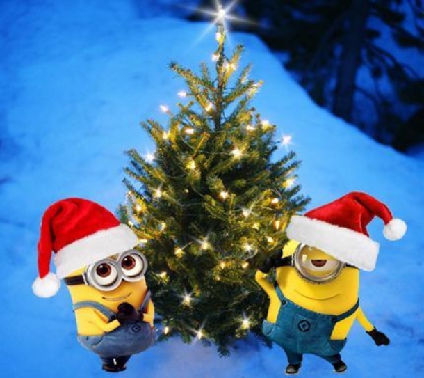 15+ Minion Christmas Pictures - picture 7