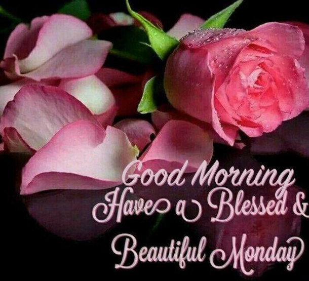 15 Of The Best & Happy Monday Quotes For The Week - picture 4