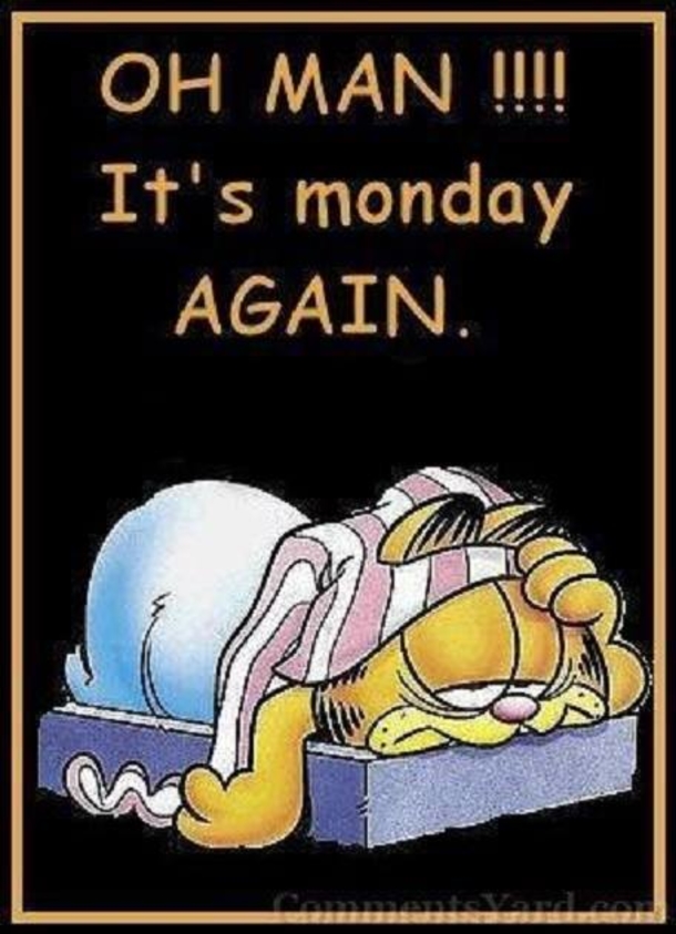 15 Of The Best & Happy Monday Quotes For The Week - picture 8