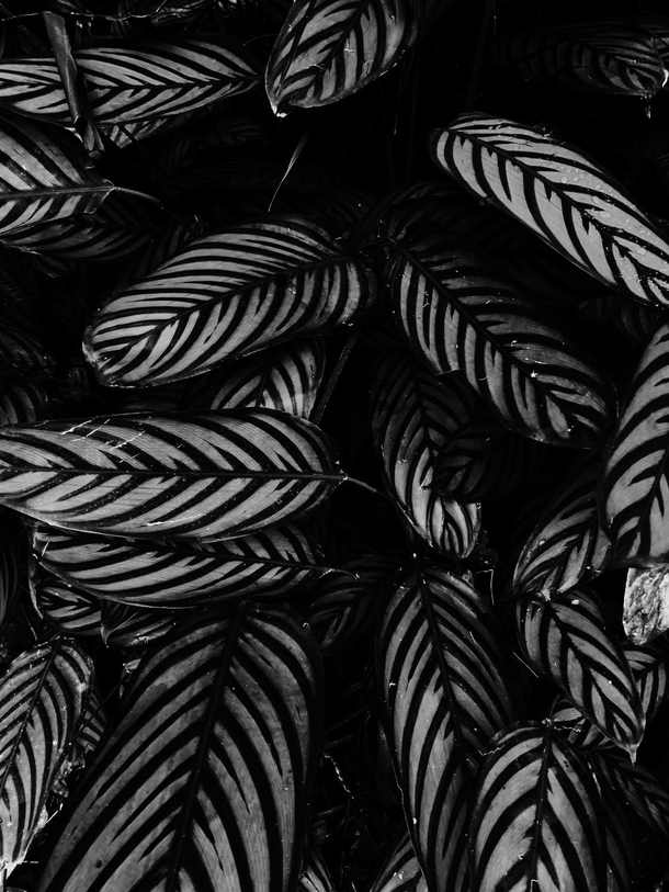 15 Phenomenal Black And White Photography Images - picture 8