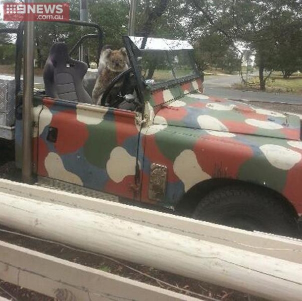 15-Year-Old CatchesCar Thief In The Act, Takes His Picure (Photos) - picture 5