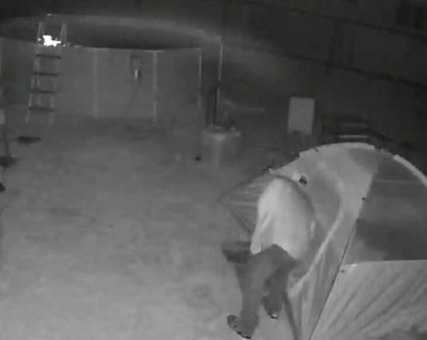 15-Year-Old girl is scared of stalker – Father sets up camera in garden and catches terrifying footage - picture 3