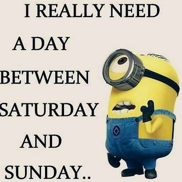 16 Amusing Minion Quotes You Will Enjoy! - picture 14