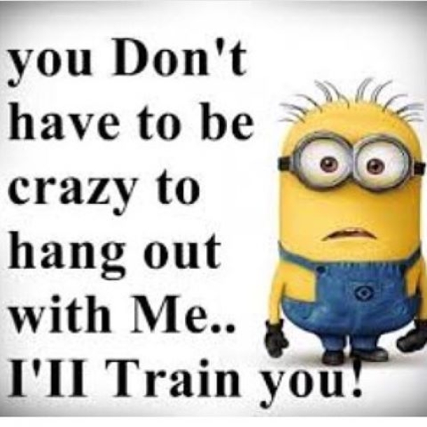 16 Amusing Minion Quotes You Will Enjoy! - picture 15
