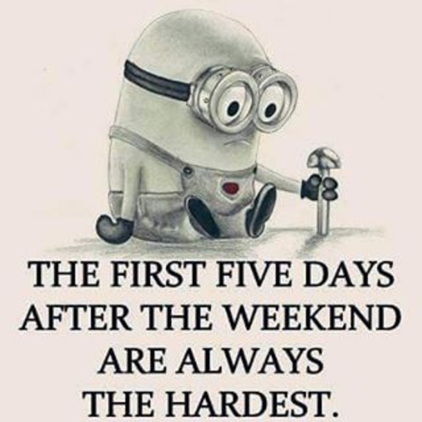 16 Amusing Minion Quotes You Will Enjoy! - picture 2