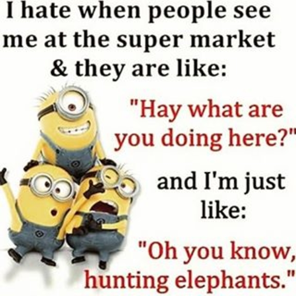16 Amusing Minion Quotes You Will Enjoy! - picture 8