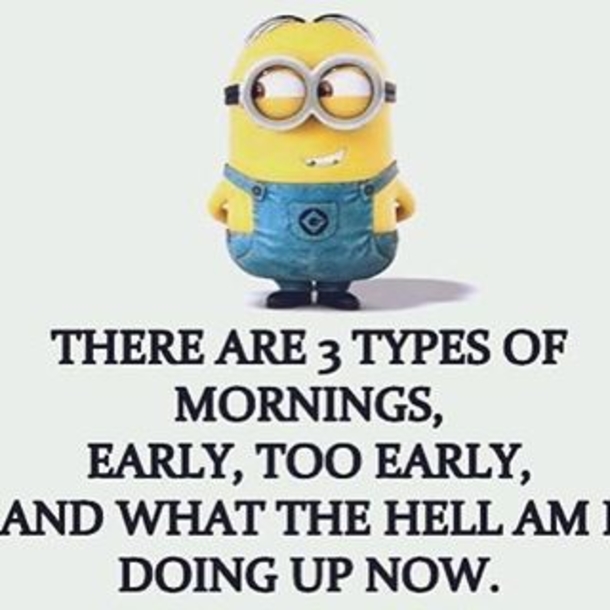16 Amusing Minion Quotes You Will Enjoy! - picture 9