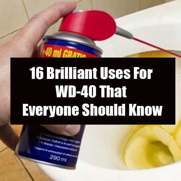 16 Brilliant Uses For WD-40 That Everyone Should Know