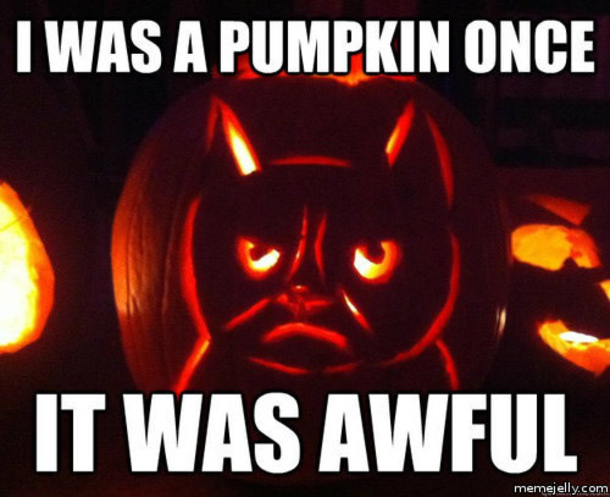 16 Funny Halloween Memes - picture 15