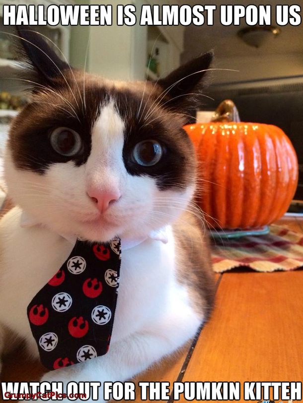 16 Funny Halloween Memes - picture 7