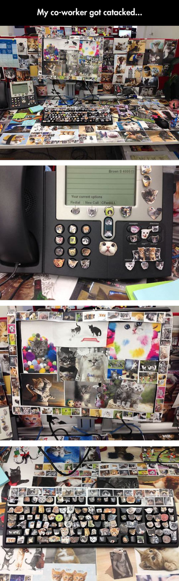 16 Interesting & Clever April Fools Day Pranks - picture 3