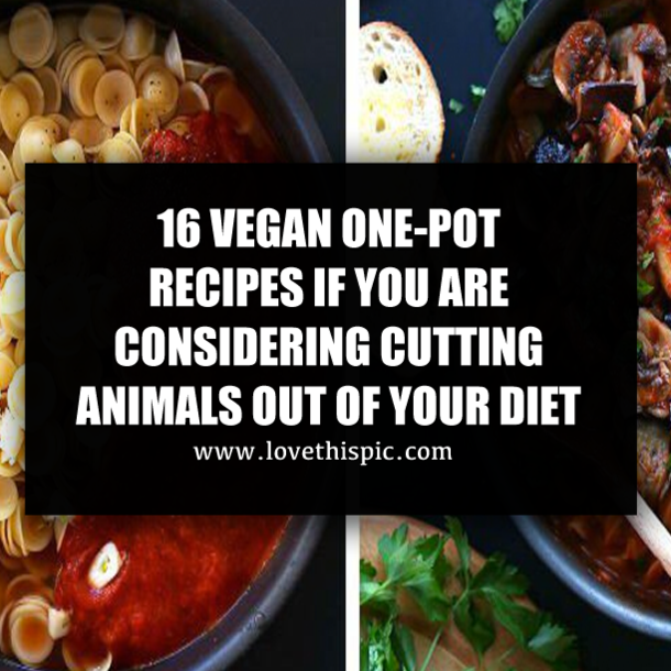 16 VEGAN ONE-POT RECIPES IF YOU ARE CONSIDERING CUTTING ANIMALS OUT OF YOUR DIET