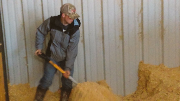 16-year-old boy drives into burning barn to rescue 14 Clydesdale horses from fire - picture 3