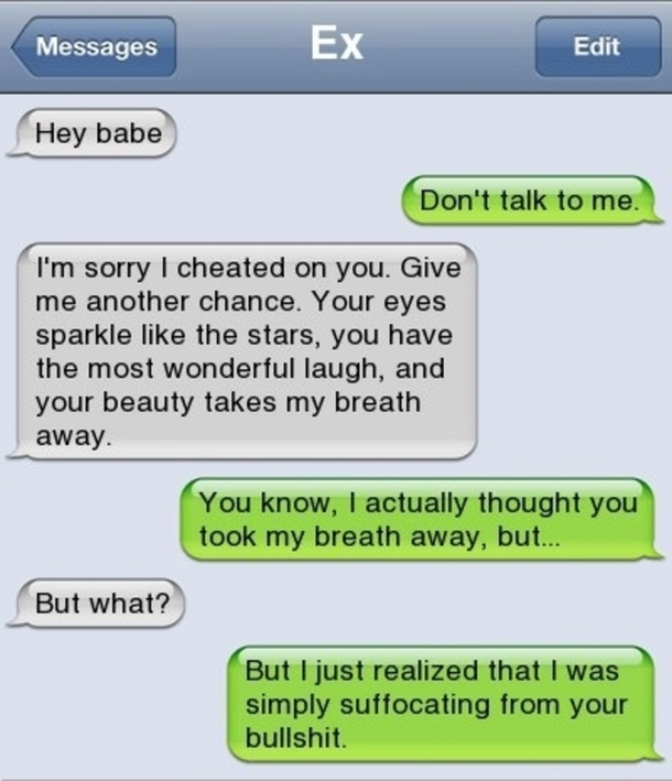 17 Perfect Replies To An Ex Through Text Messages - picture 18