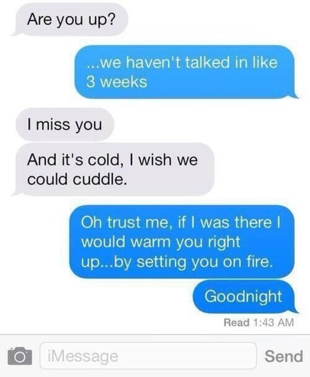 17 Perfect Replies To An Ex Through Text Messages - picture 4