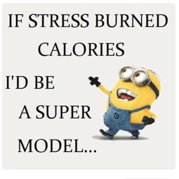17 Silly Minion Quotes - picture 15