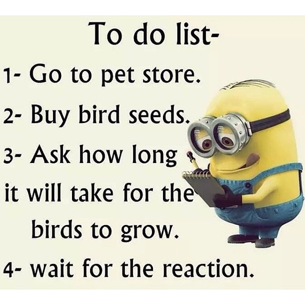 17 Silly Minion Quotes - picture 16