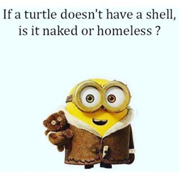17 Silly Minion Quotes - picture 4