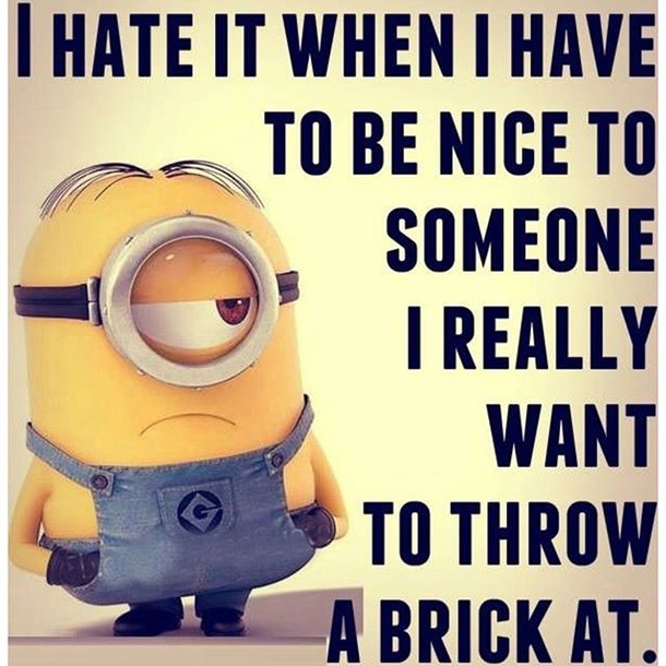 17 Silly Minion Quotes - picture 5