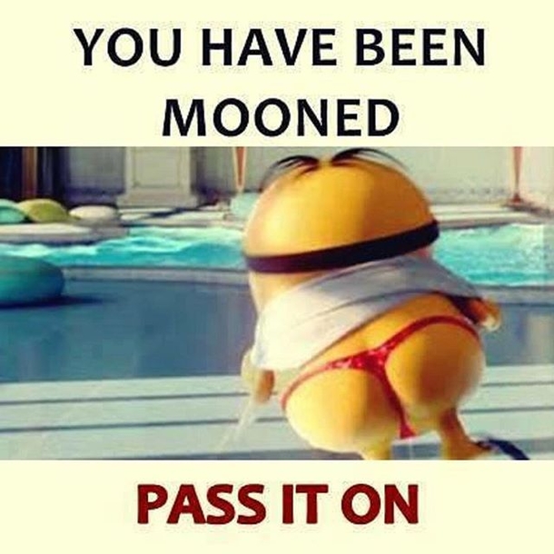 17 Silly Minion Quotes - picture 9